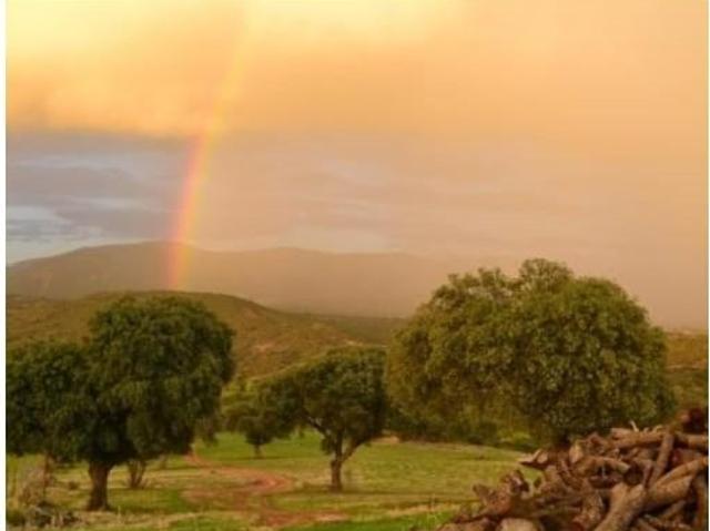 Fazenda Ciudad Real Ciudad Real 94352211