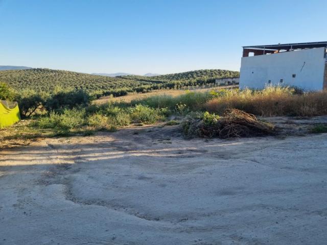 Fazenda Encinas Reales Córdoba 83121891