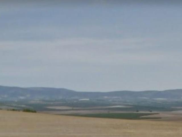 Fazenda Estepa Sevilla LS83121898