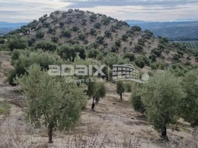 Fazenda Lucena Córdoba LS83121900