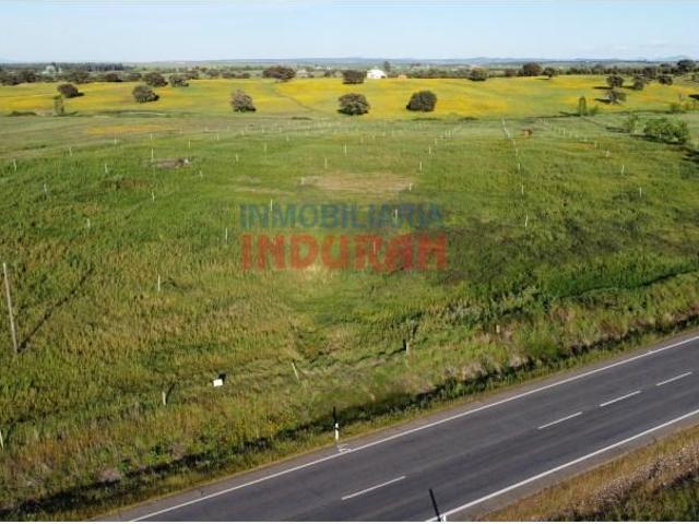 Fazenda Peraleda De La Mata Peraleda De La Mata LS101452465