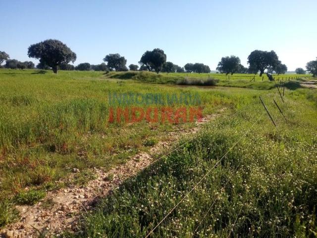 Fazenda Peraleda De La Mata Peraleda De La Mata LS102494588