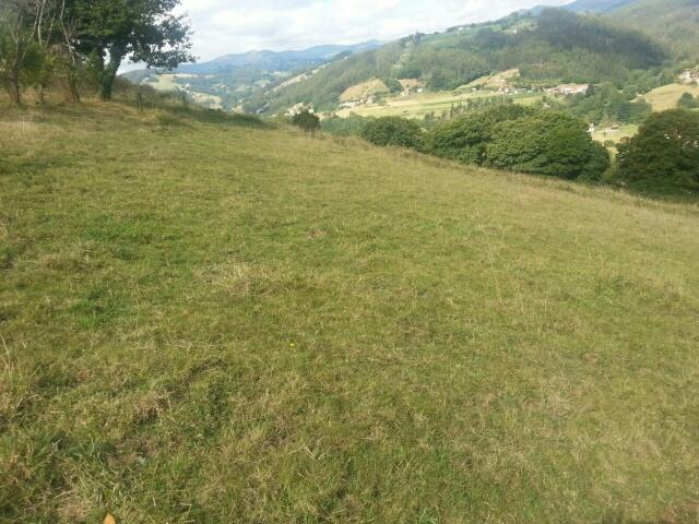 Fazenda Pravia Asturias LS83121692