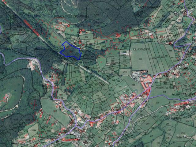 Fazenda Pravia Asturias LS96147905