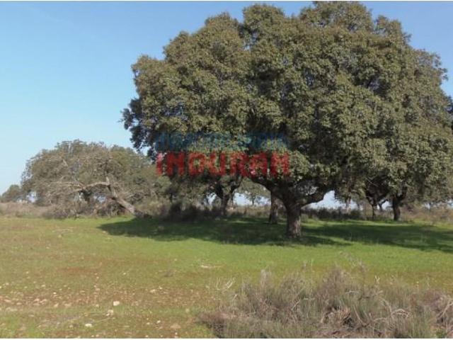 Fazenda Valdehúncar Valdehúncar LS102546192