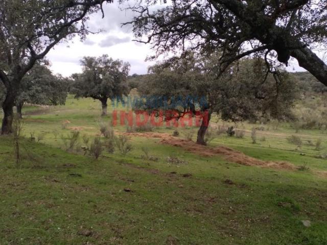 Fazenda Valdehúncar Valdehúncar LS97122548