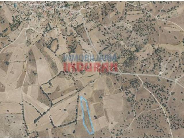 Fazenda Valdehúncar Valdehúncar 103394147