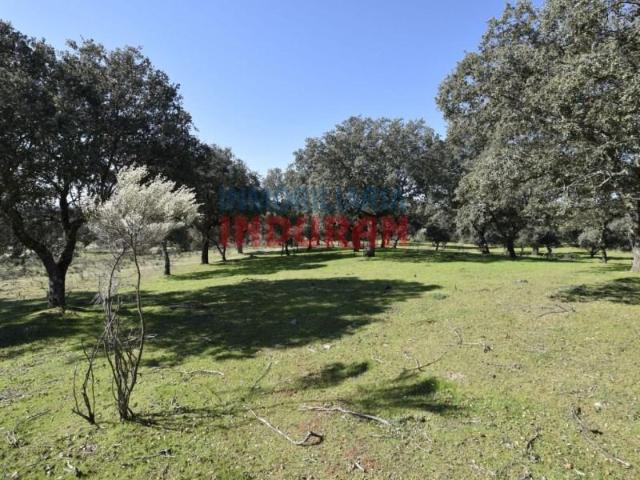 Fazenda Valdehúncar Valdehúncar 103332902