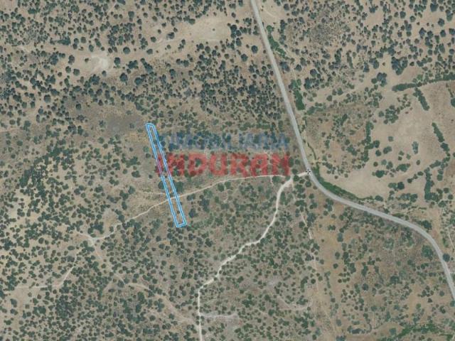 Fazenda Valdehúncar Valdehúncar 103332909