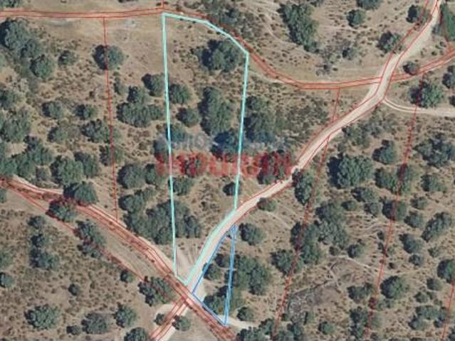 Fazenda Valdehúncar Valdehúncar 103332934