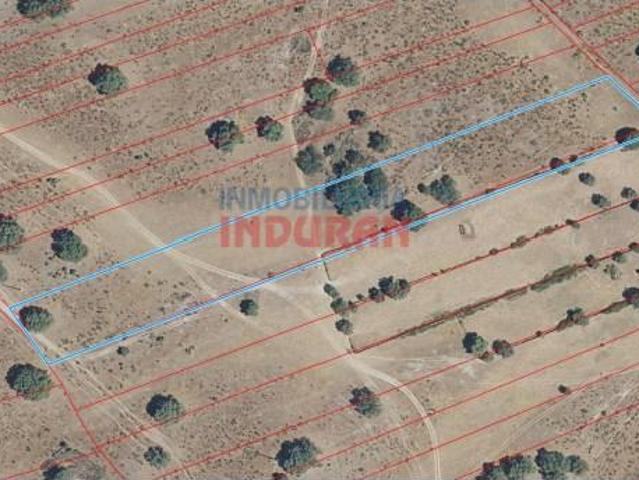 Fazenda Valdehúncar Valdehúncar 103592230