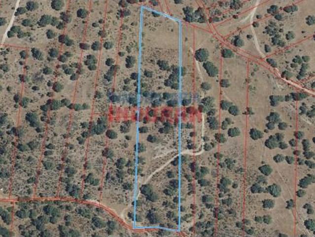 Fazenda Valdehúncar Valdehúncar 103747771