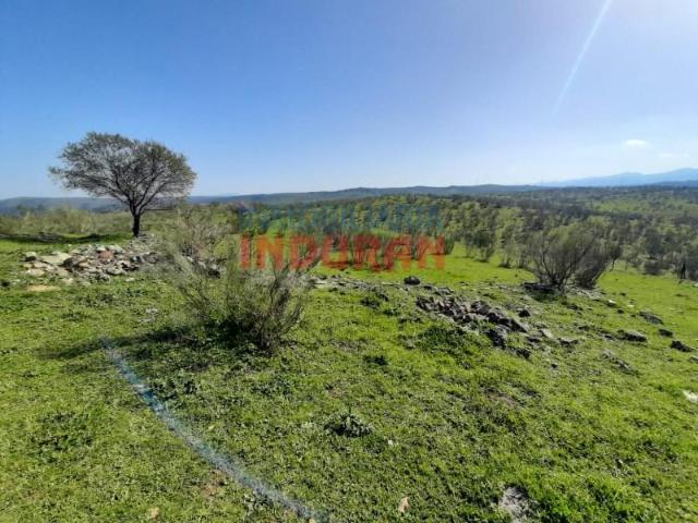 Fazenda Valdelacasa De Tajo Valdelacasa De Tajo 97123442