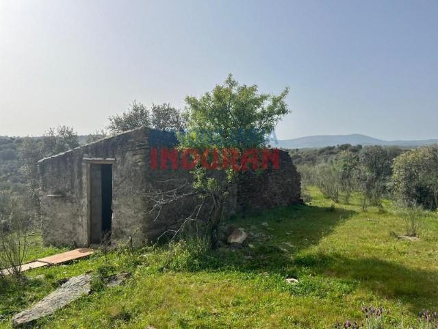 Fazenda Valdelacasa De Tajo Valdelacasa De Tajo 100854191