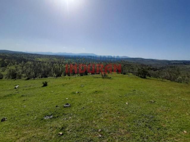 Fazenda Valdelacasa De Tajo Valdelacasa De Tajo LS97711428