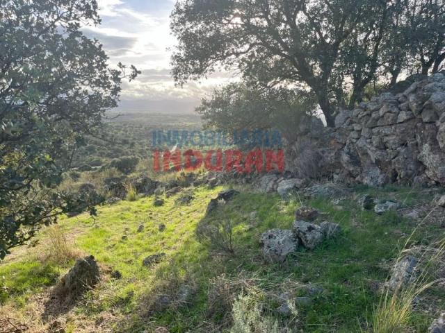 Fazenda Villar Del Pedroso Villar Del Pedroso 103332924