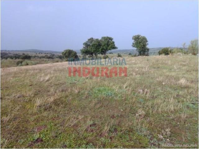 Fazenda Villar Del Pedroso Villar Del Pedroso LS102577764