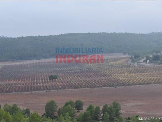 Fazenda Víllora Víllora 103111719
