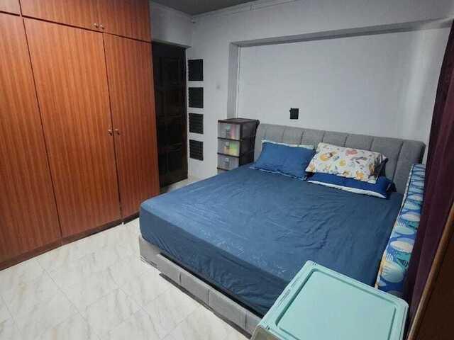 Female Master in a Spacious Flat and a small room available