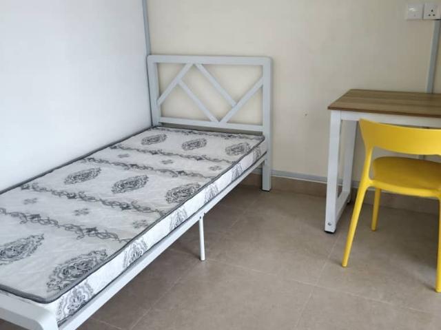 Female unit petaling jaya section 19, brand new furniture, zero deposit /low deposit, welcome intern student