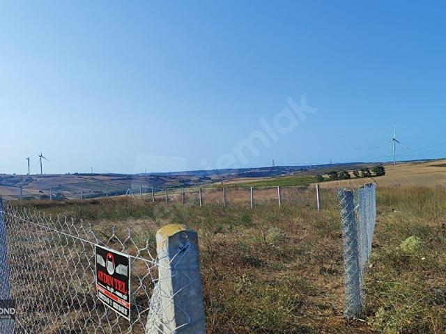 FENERKÖYDE 522M2 TARLA