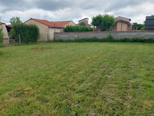 Fenouillet Vente Terrain 31