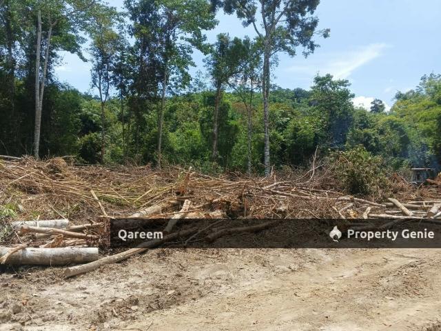 [FEEEHOLD] 3 Ekar Pekan Rasa, Sebelah Sungai. Batang Kali