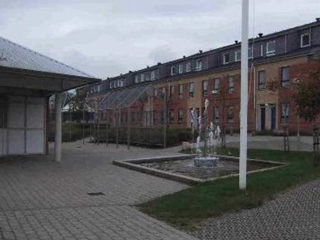 Feggesundvej