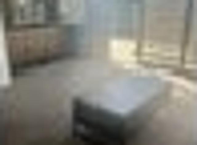 Feilding, 3 bedrooms, $600 pw
