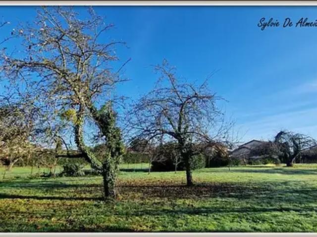 Feillens 01570 Achat / Vente terrain