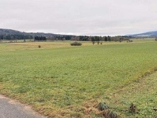 Feld, Wiese, Weide