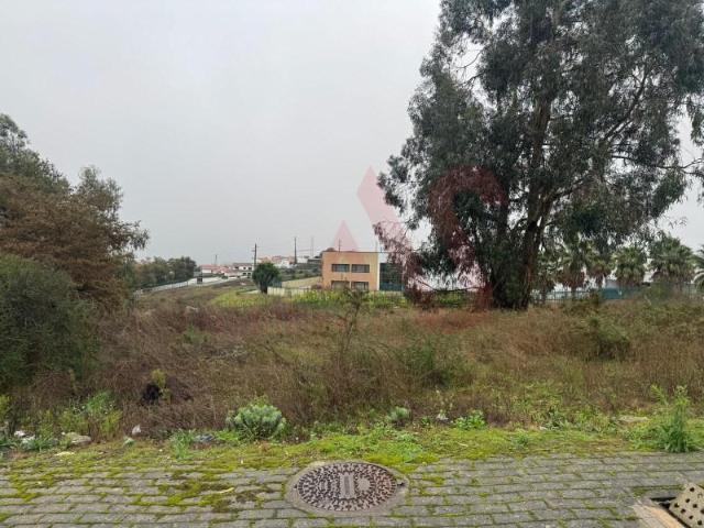Felgueiras Felgueiras 96062265