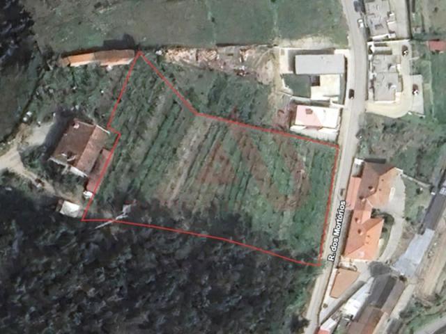 Felgueiras Felgueiras LS87208072