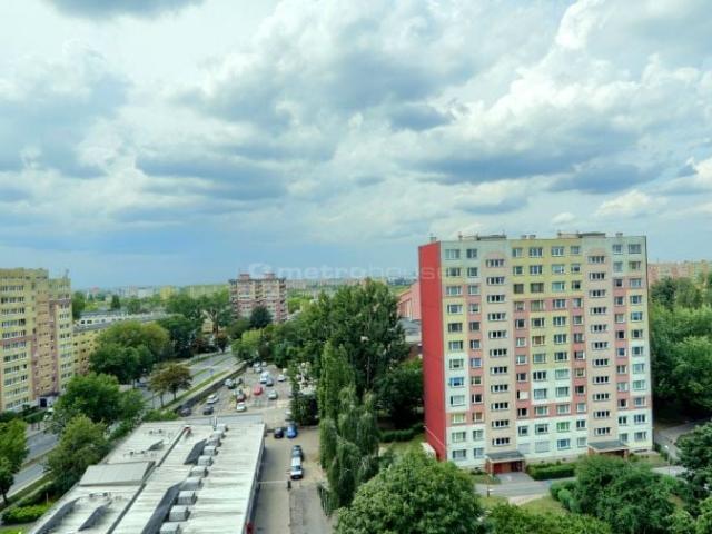 Felińskiego 36 m², Łódź