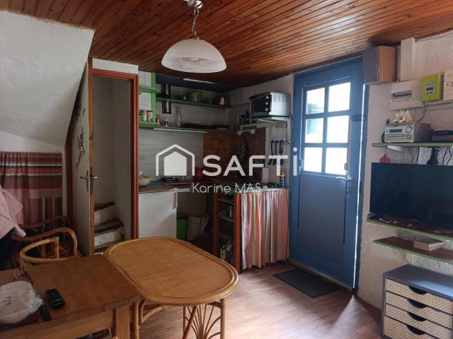 Félines Termenès Vente Maison 11