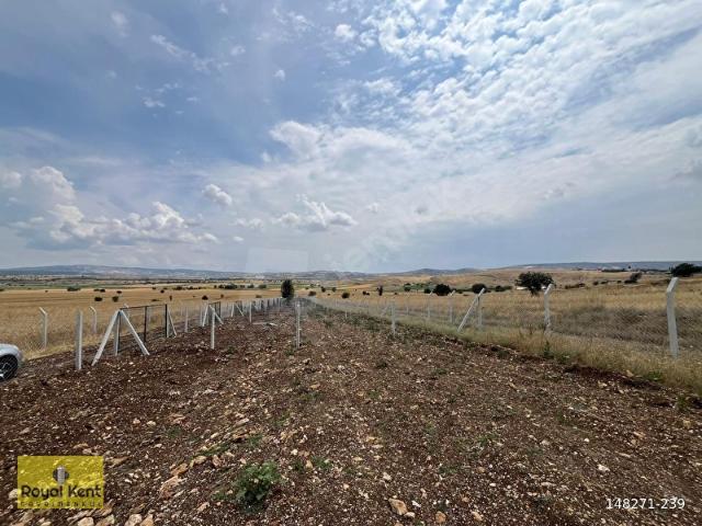 Feruzda 225 m2 Orman İçinde Göle Yakın Takasa Açık
