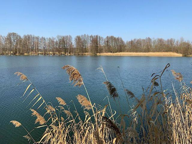 Ferienbungalow am Angel und Badesee Naturcamping in Spreewaldnähe