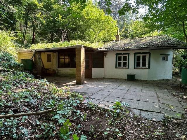 Ferienhaus in Hameln Rohrsen! Abgeschieden! Umgeben von Wald auf einem Berg! 3.568 qm Grdst.!