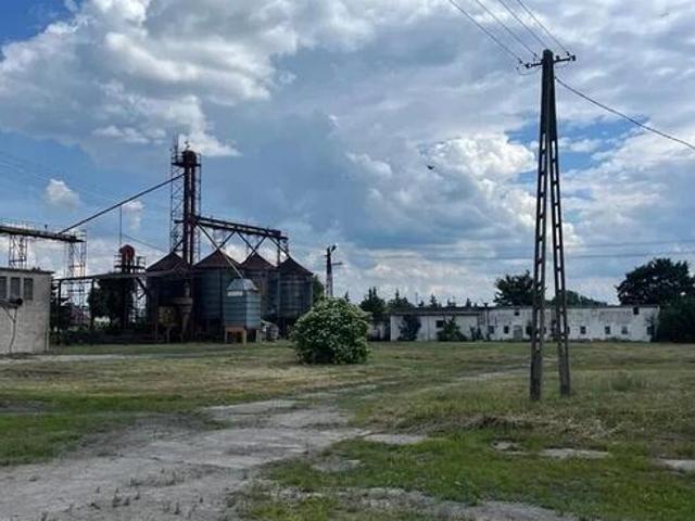 Ferma trzoda/drobiu