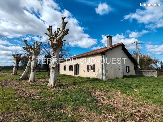 Ferme 5 pièces 115 m²