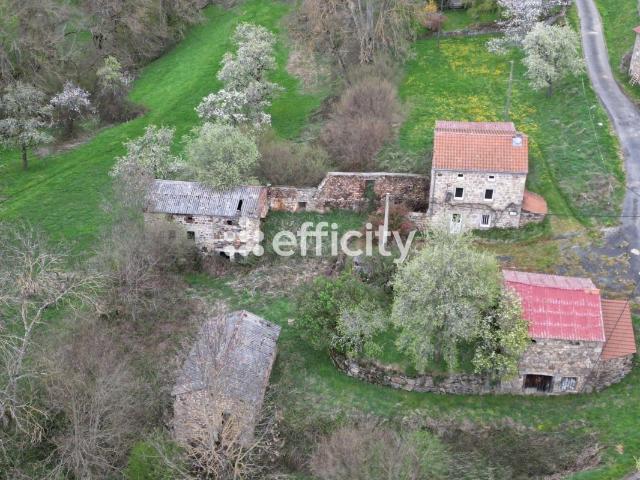 Ferme