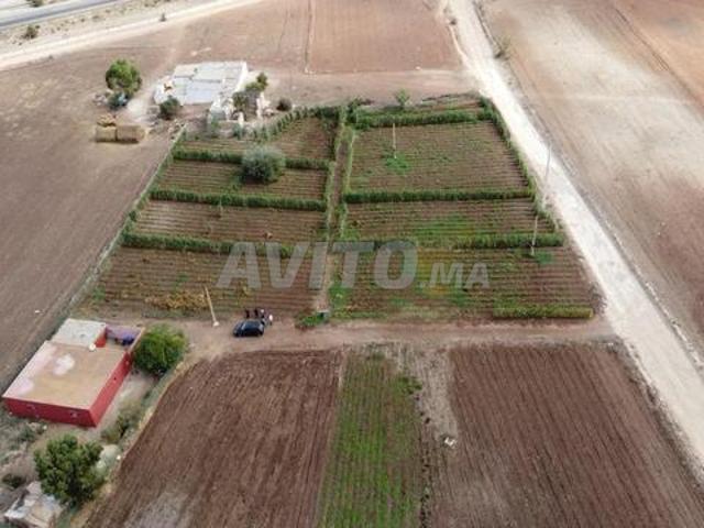 Ferme 7200m2 Tnine Chtouka à 50km de Casablaca