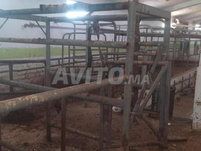 Ferme 8 Hectares équipée à vendre Tiflet