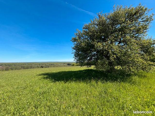 Ferme 8 pièces 300 m²