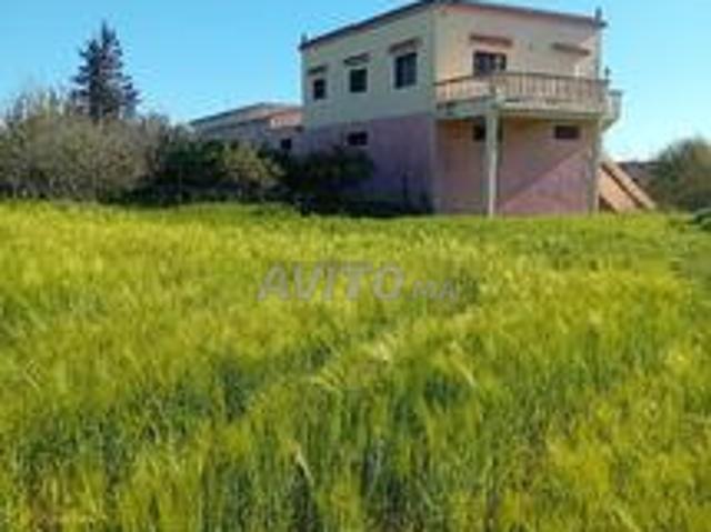 Ferme 10 hectares. 7 km de Taounate
