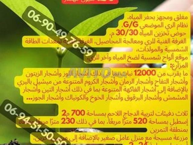 Ferme 17 Hectares Équipée Ferme Équipée Oued El Heïmer