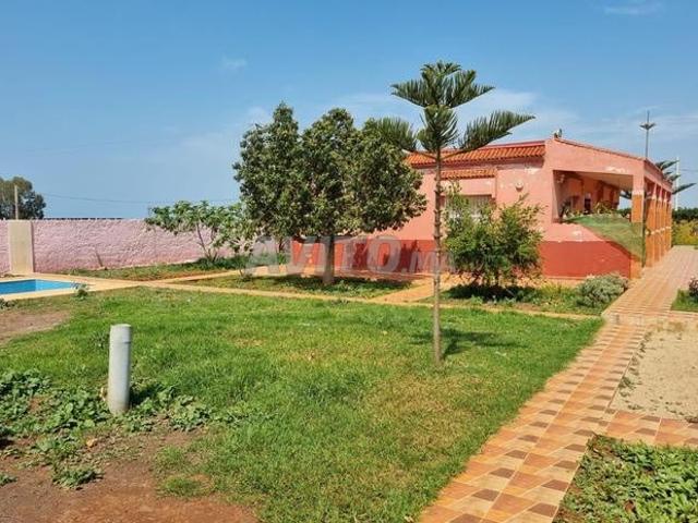 Ferme 1 H bien équipée à vendre à Skhirat