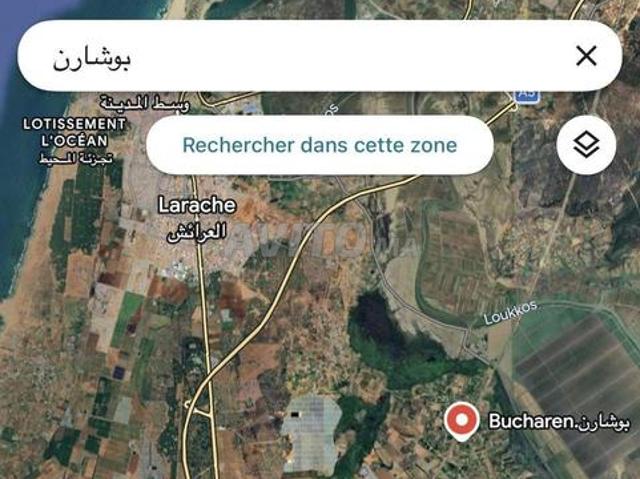 Ferme 1 hectare à vendre région Larache Tanger