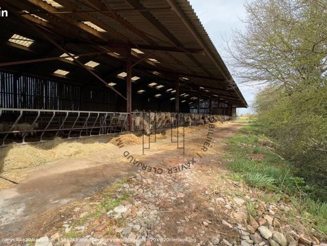 Ferme 2028 m² ARGENTONNAY