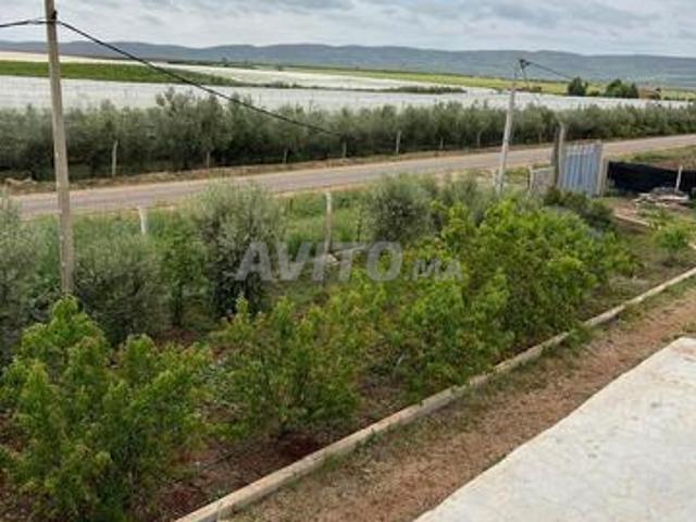 Ferme 2.5 hectares avec matériel et maison
